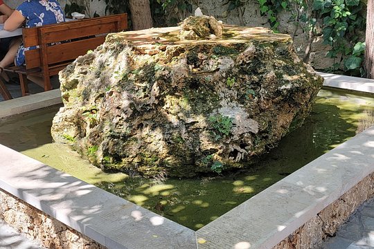 Tour image 12