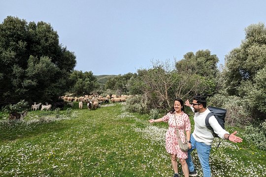 Tour image 2